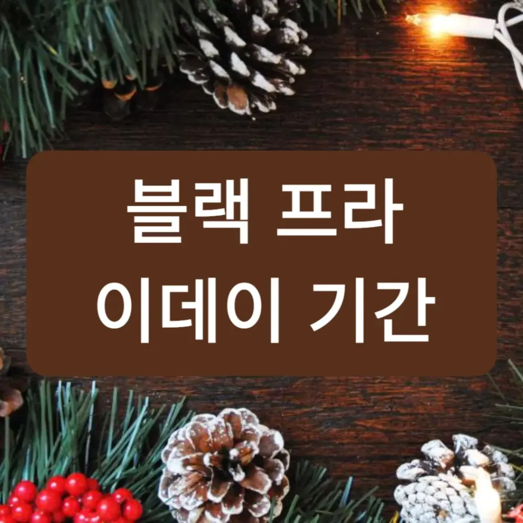 블랙프라이데이 기간
